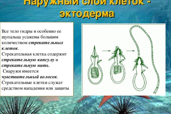 Kraken ссылка krakentor site