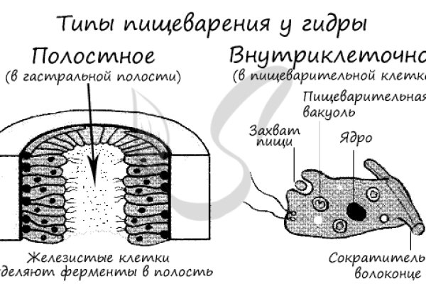 Кракен маркетплейс ссылка на сайт